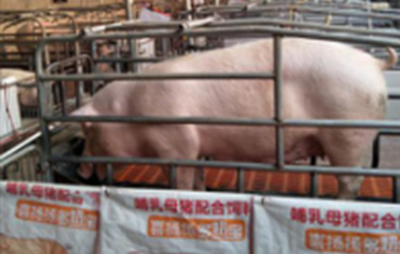 養(yǎng)殖監(jiān)測自動化控制